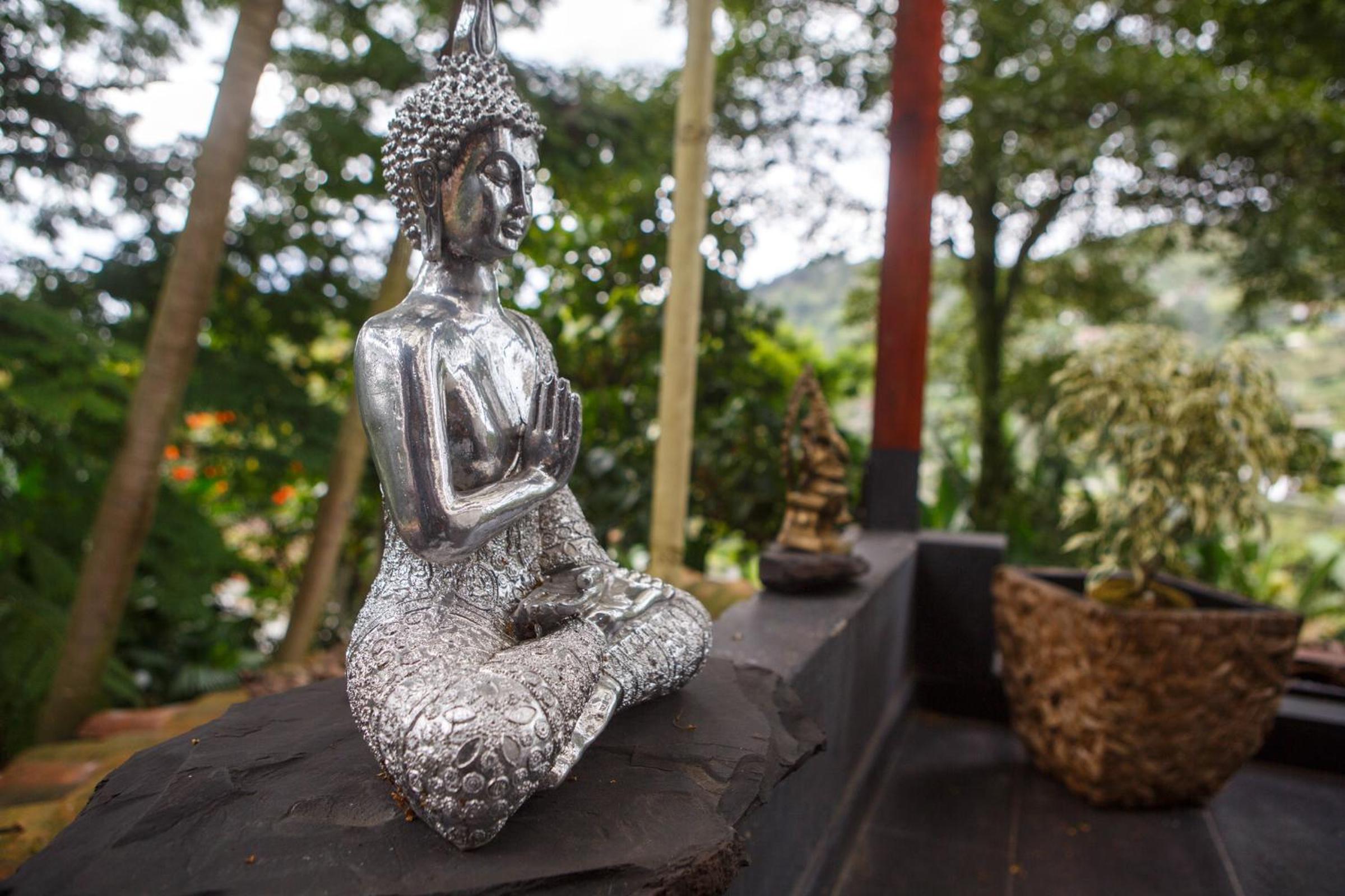 The Secret Buddha view 3