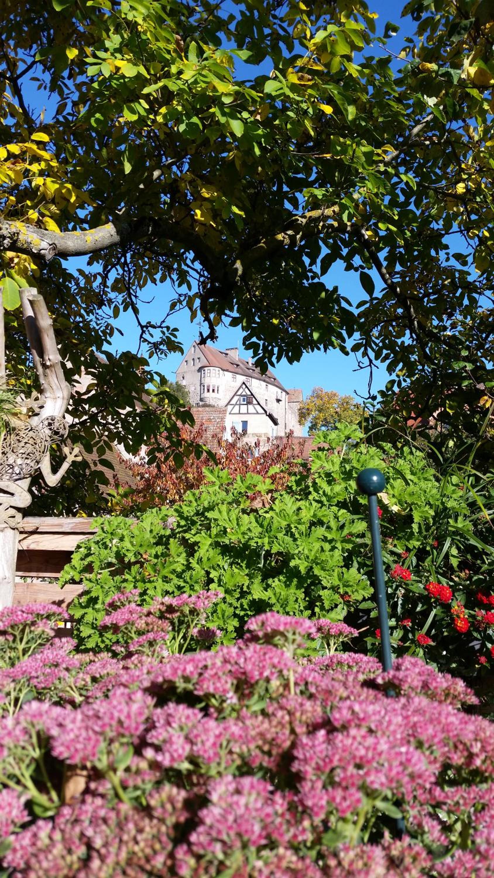 Apartments am Tor