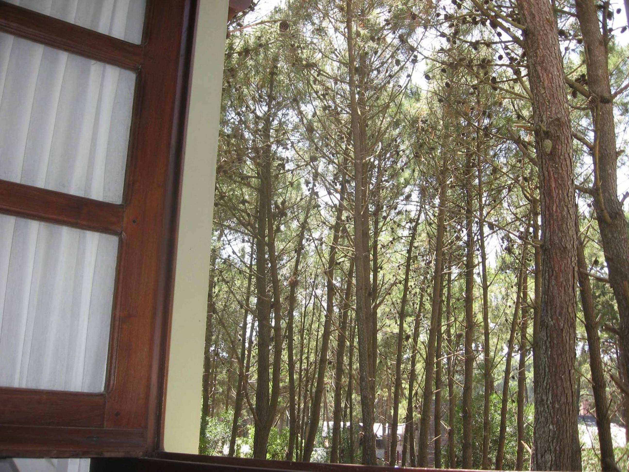Posada La Casona