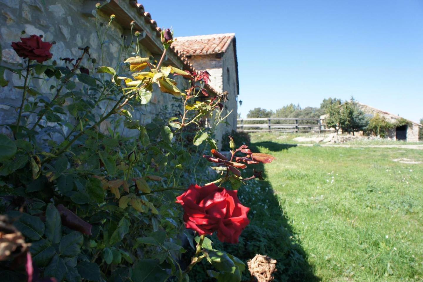 Photo 40