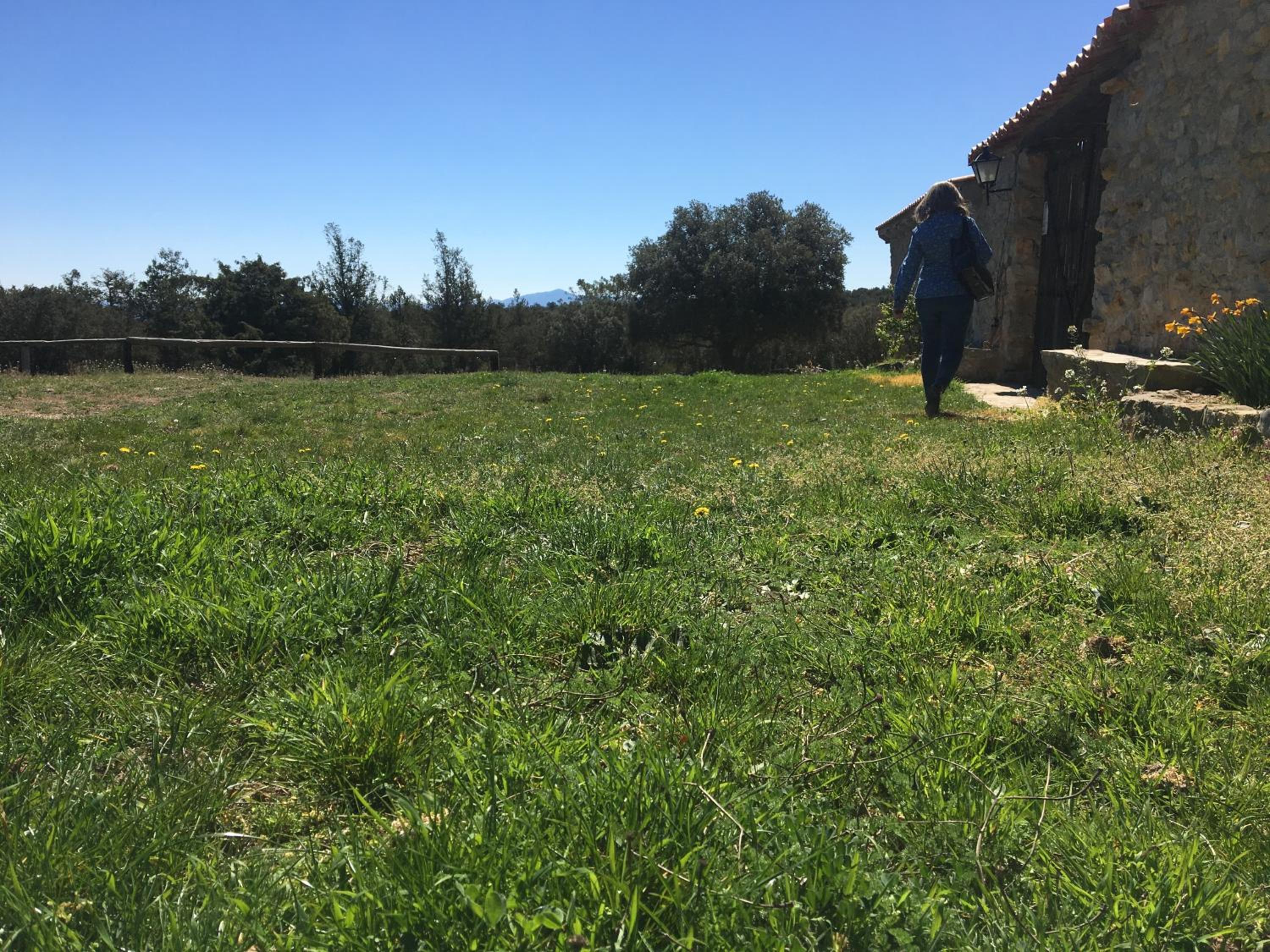 Masia La Casablanca view 4