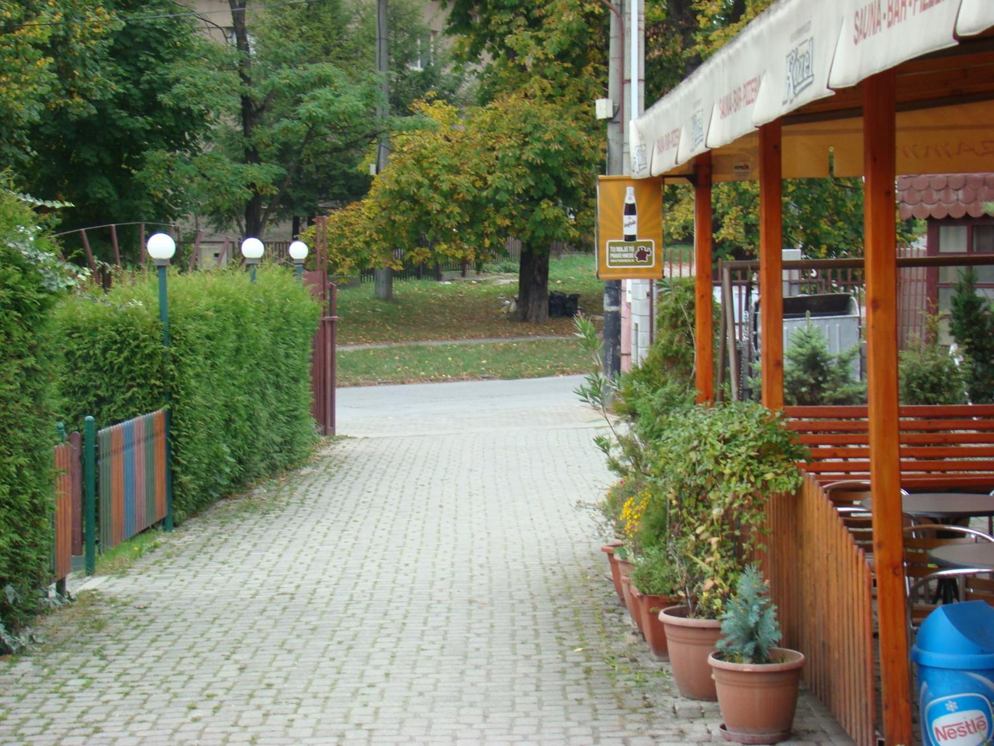 Photo 42