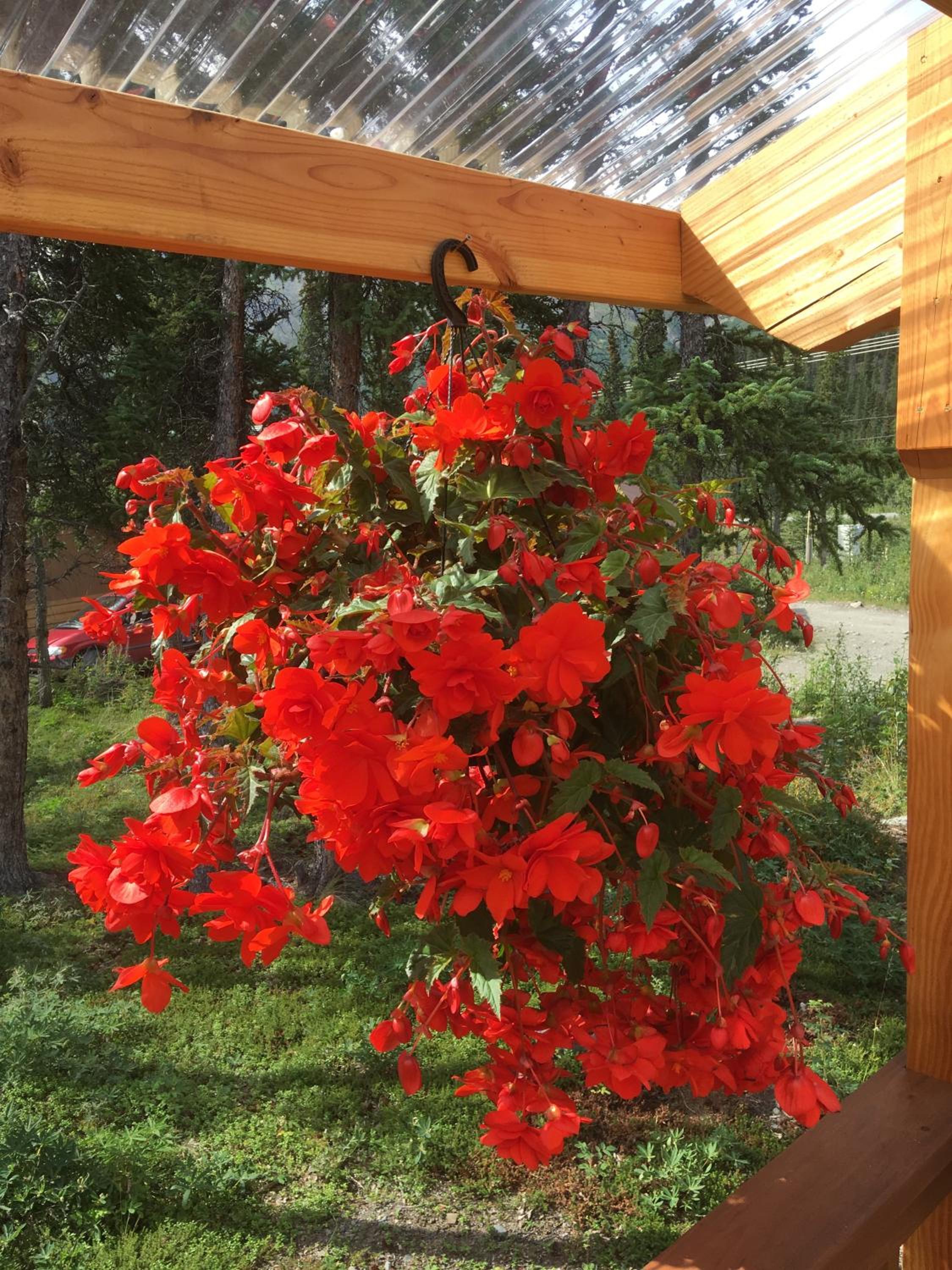 McKinley Creekside Cabins