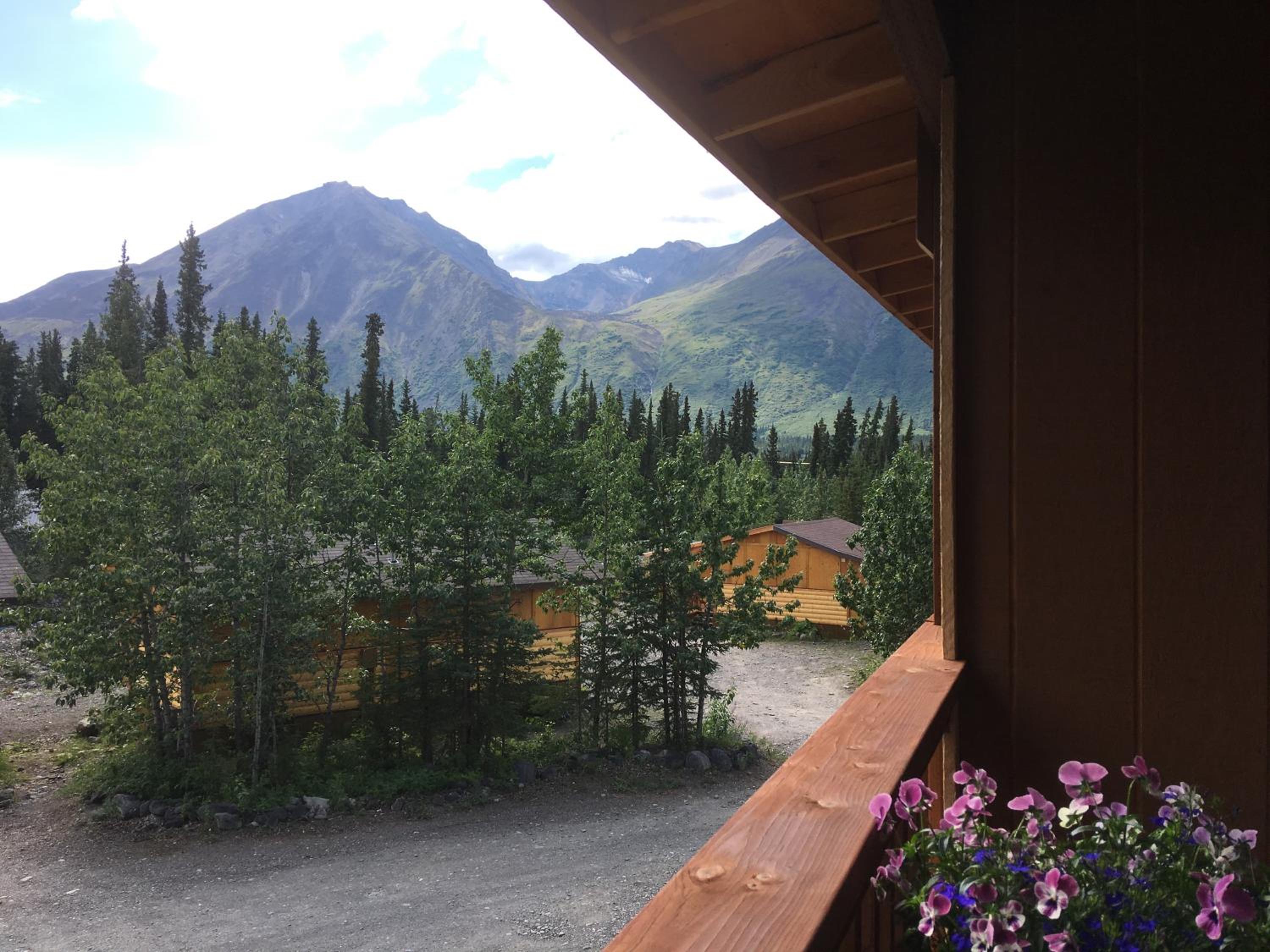 McKinley Creekside Cabins