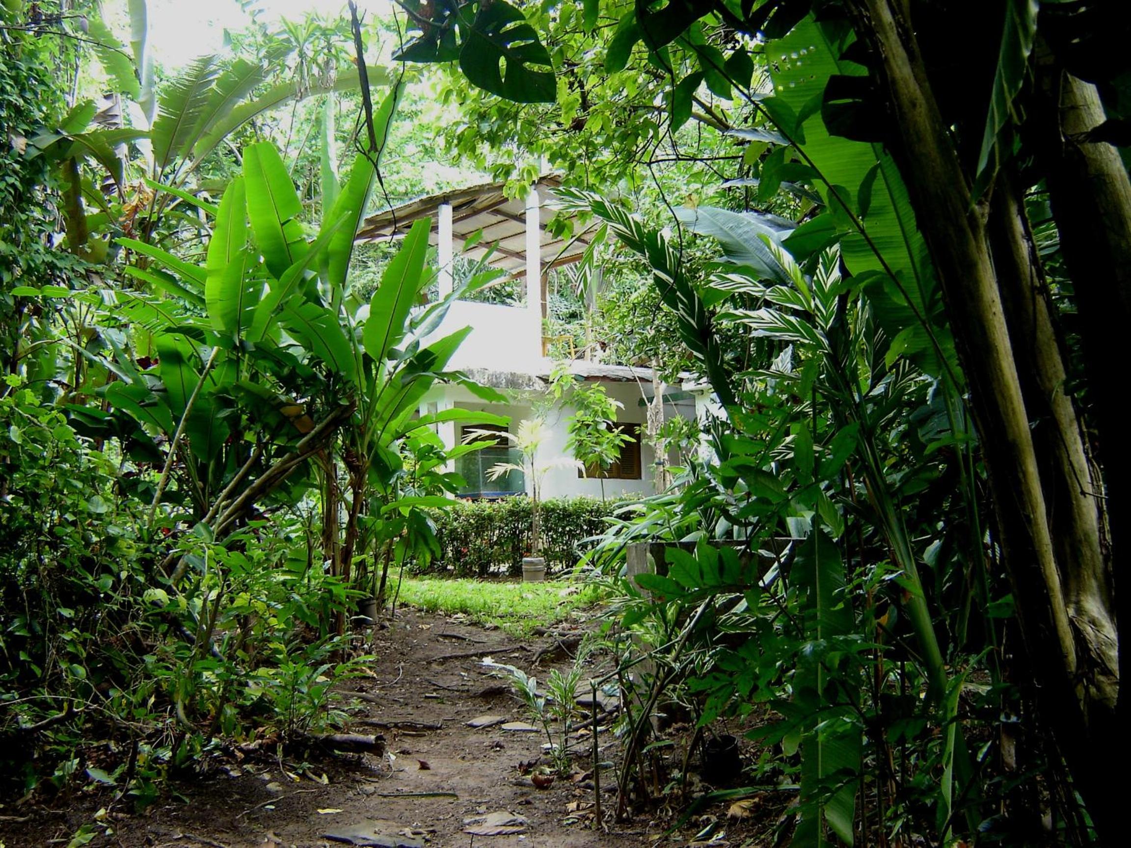 Ecotopía Park view 3