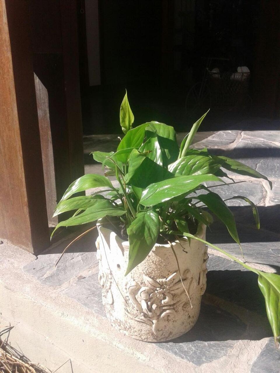 Posada La Casona