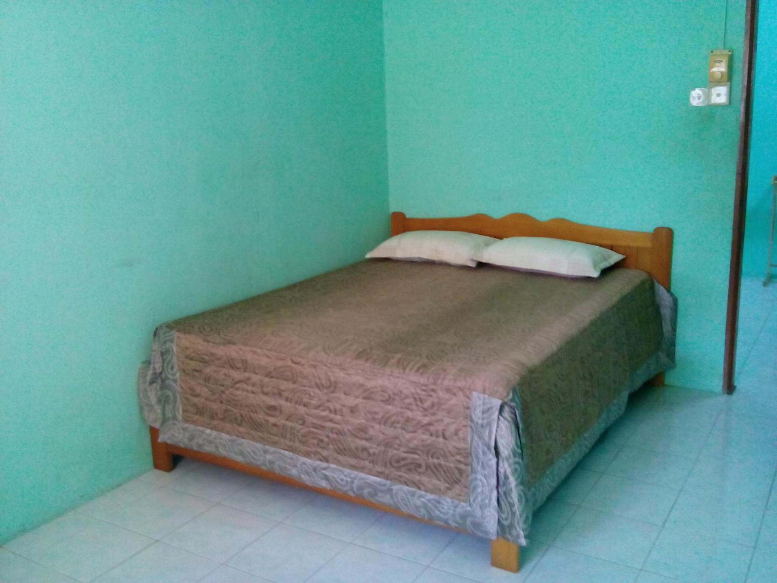 Shima Homestay