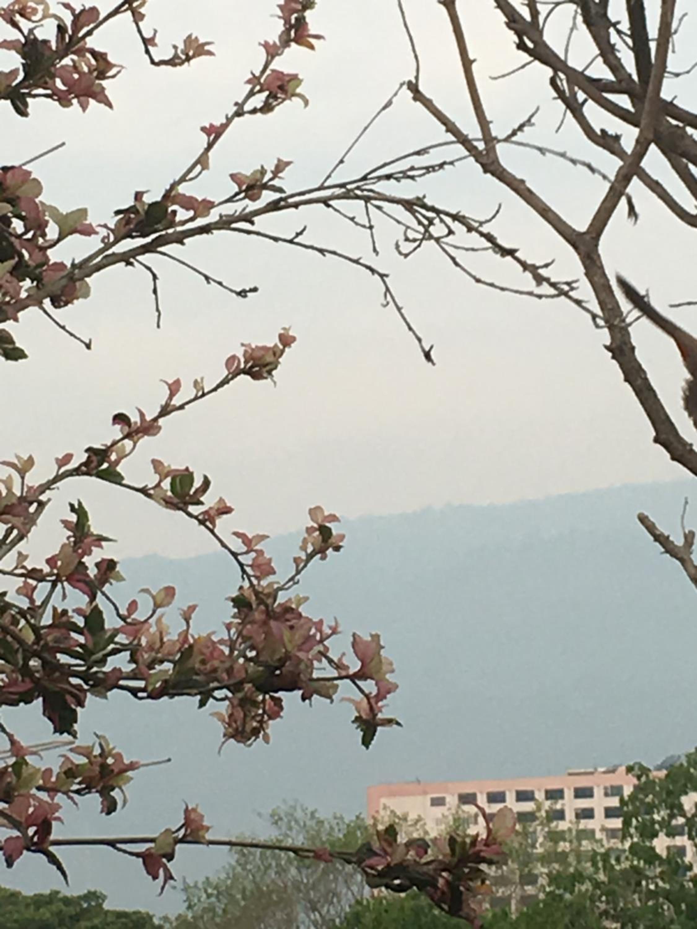 Baan Thalang @ Chiang Mai