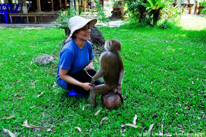 Ruean Thai Nai Bang by PANSAK Resort