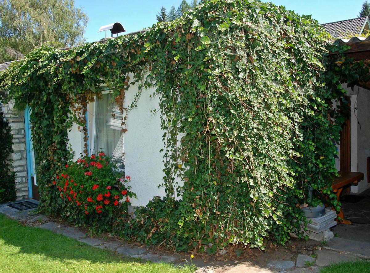 Pension Weber