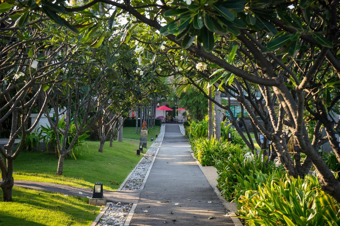 i Tara Resort & Spa