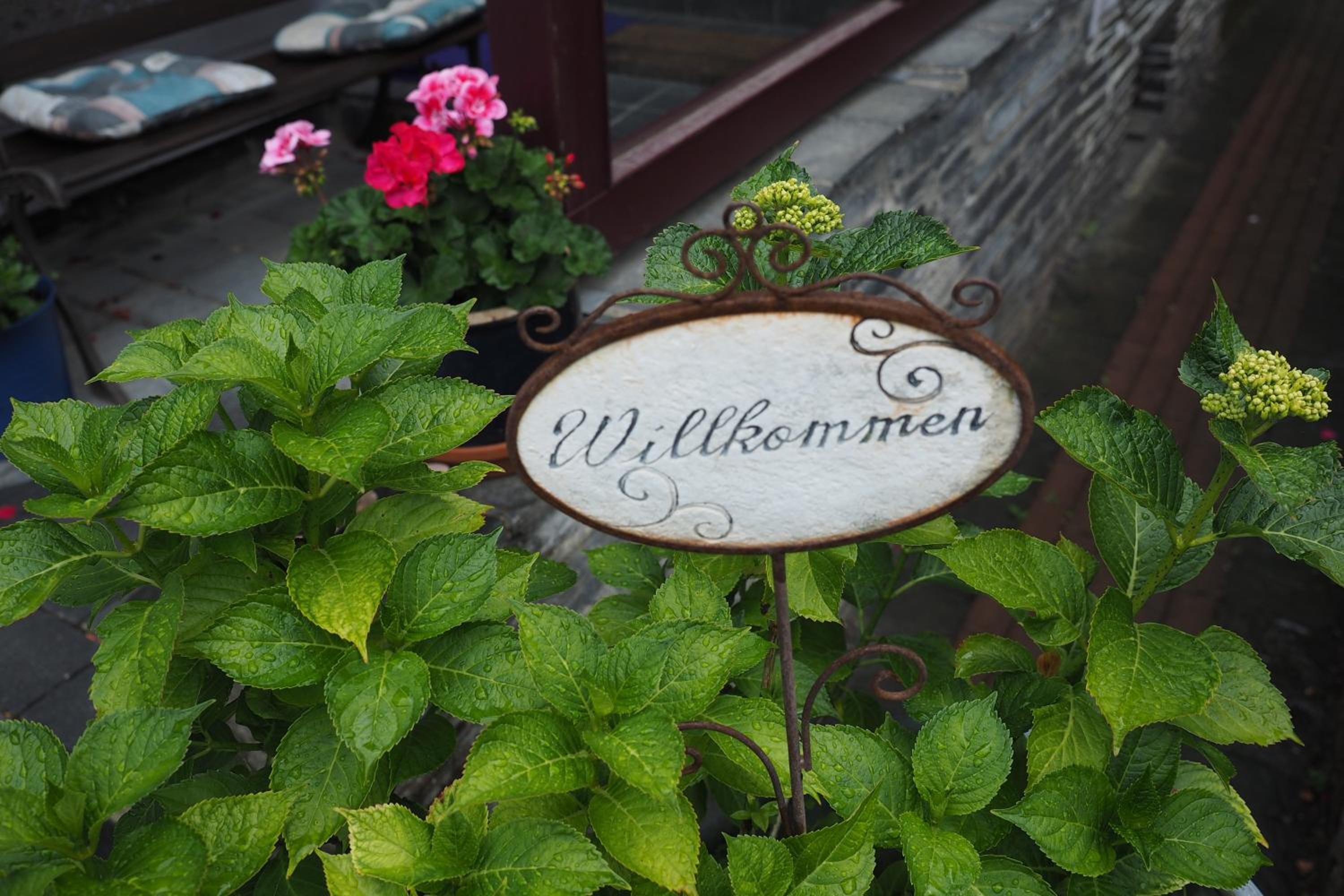 Frauenpension Arleta - Women only