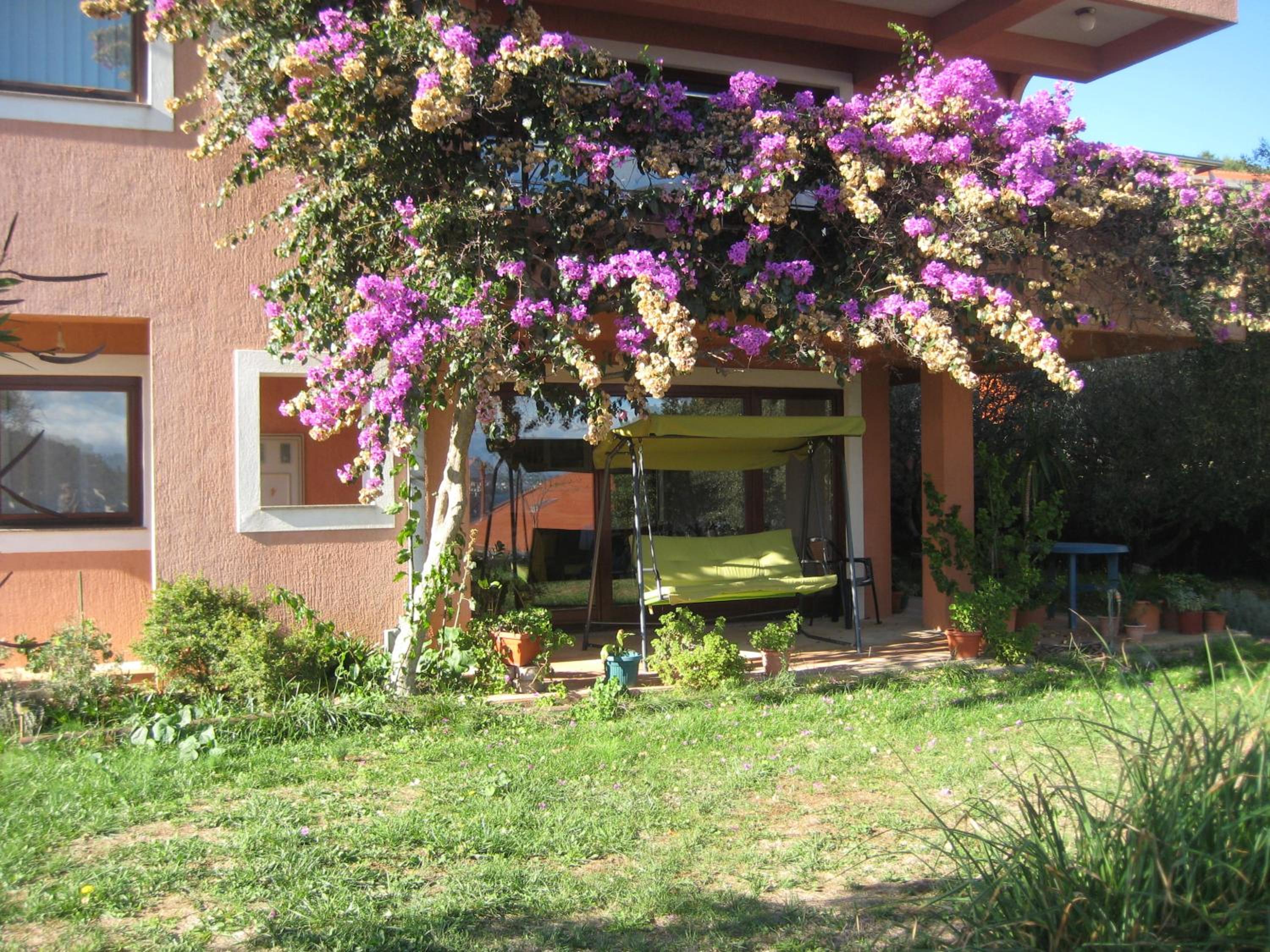 Apartman Lavanda view 4