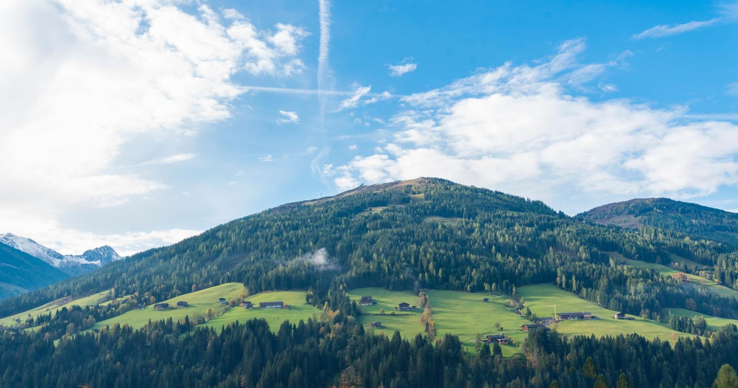 Appartement Alpina