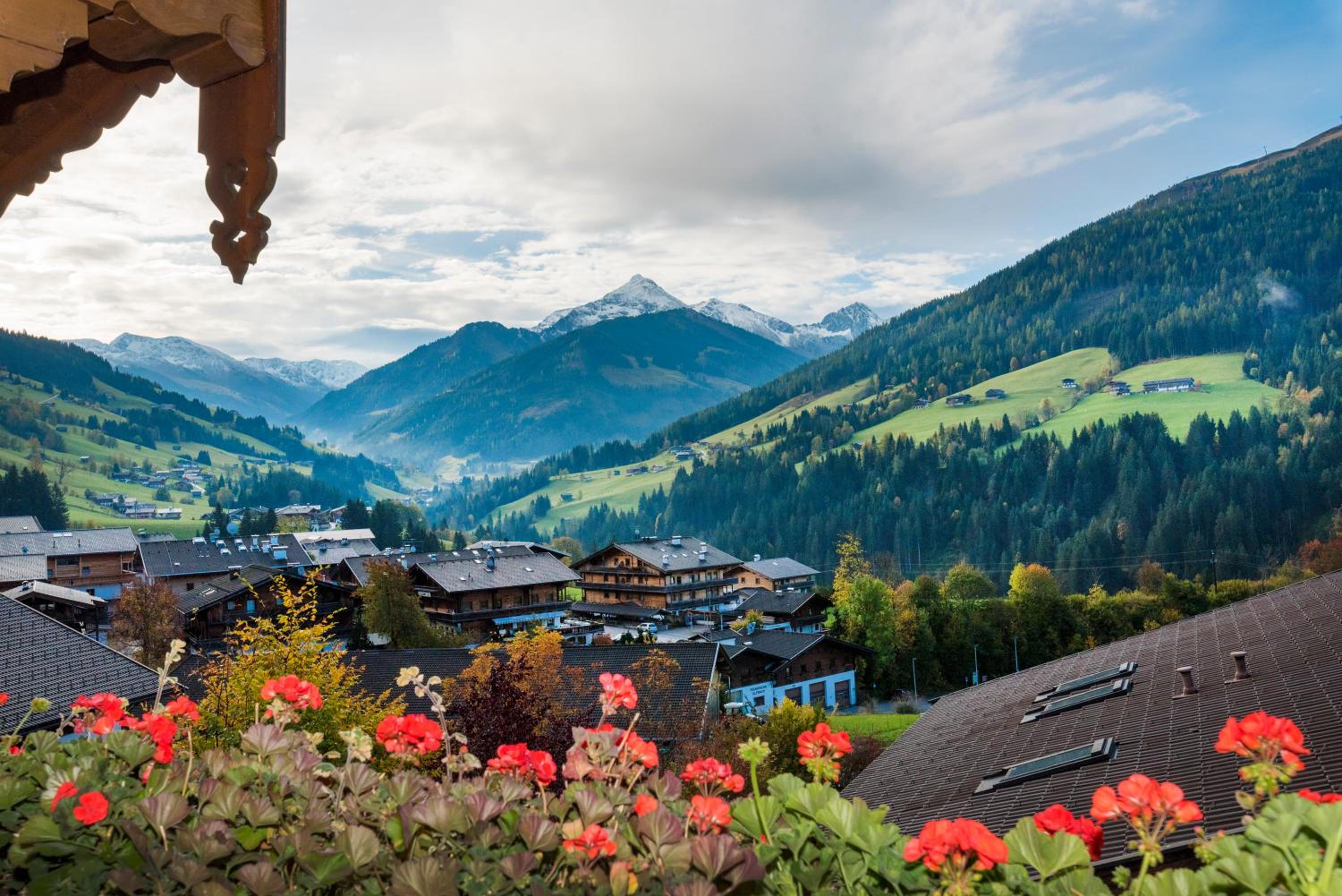 Appartement Alpina