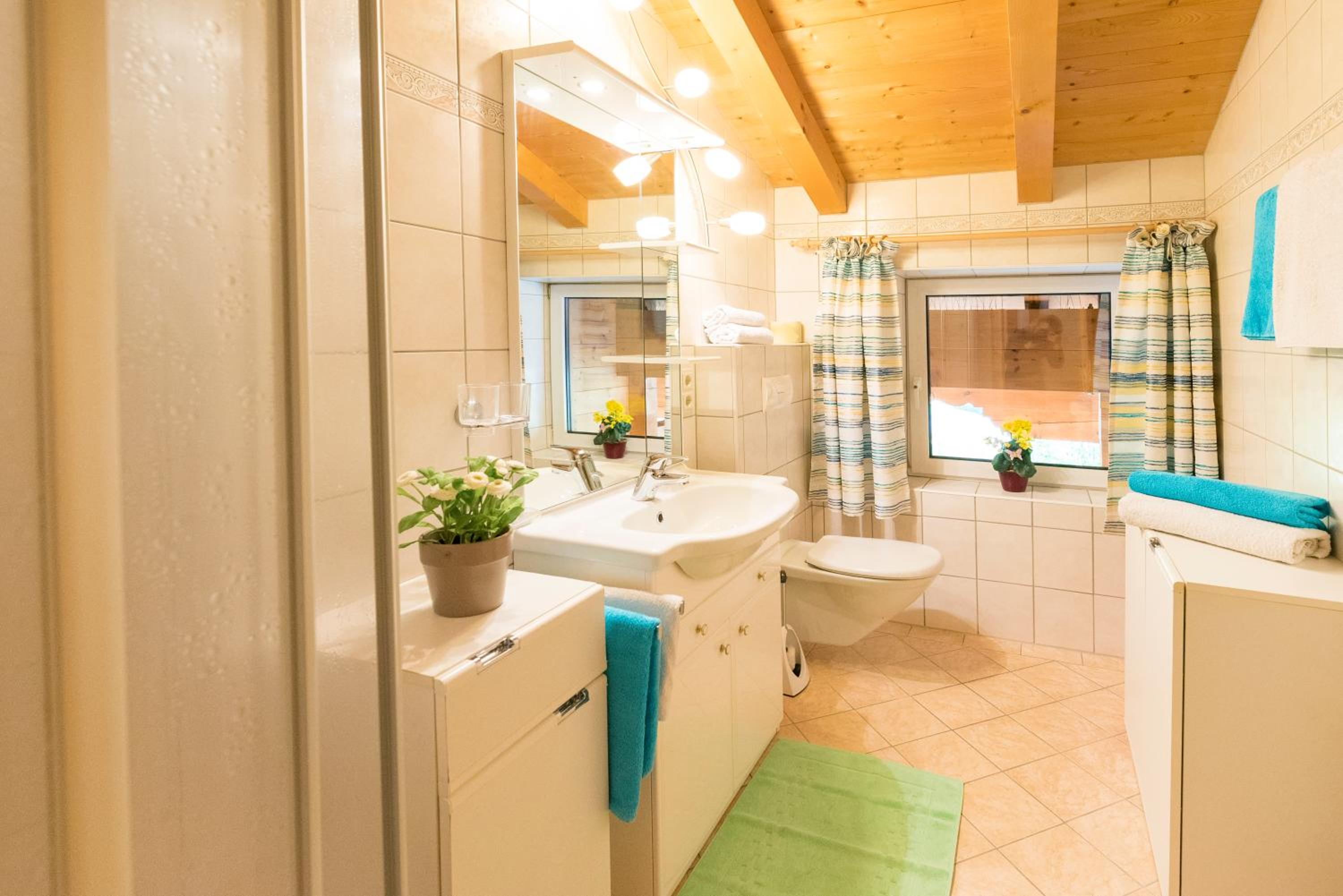 Appartement Alpina