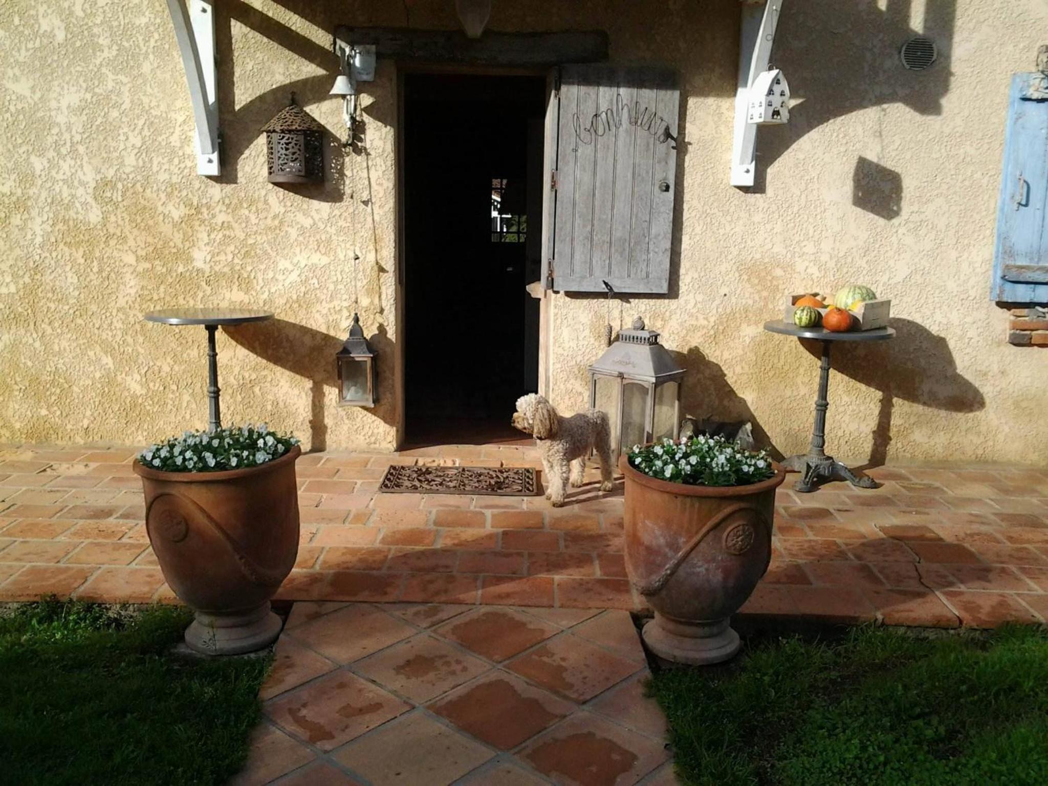 Photo 28