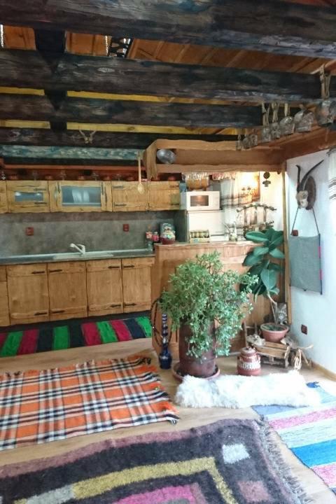 Guest Rooms Profirov