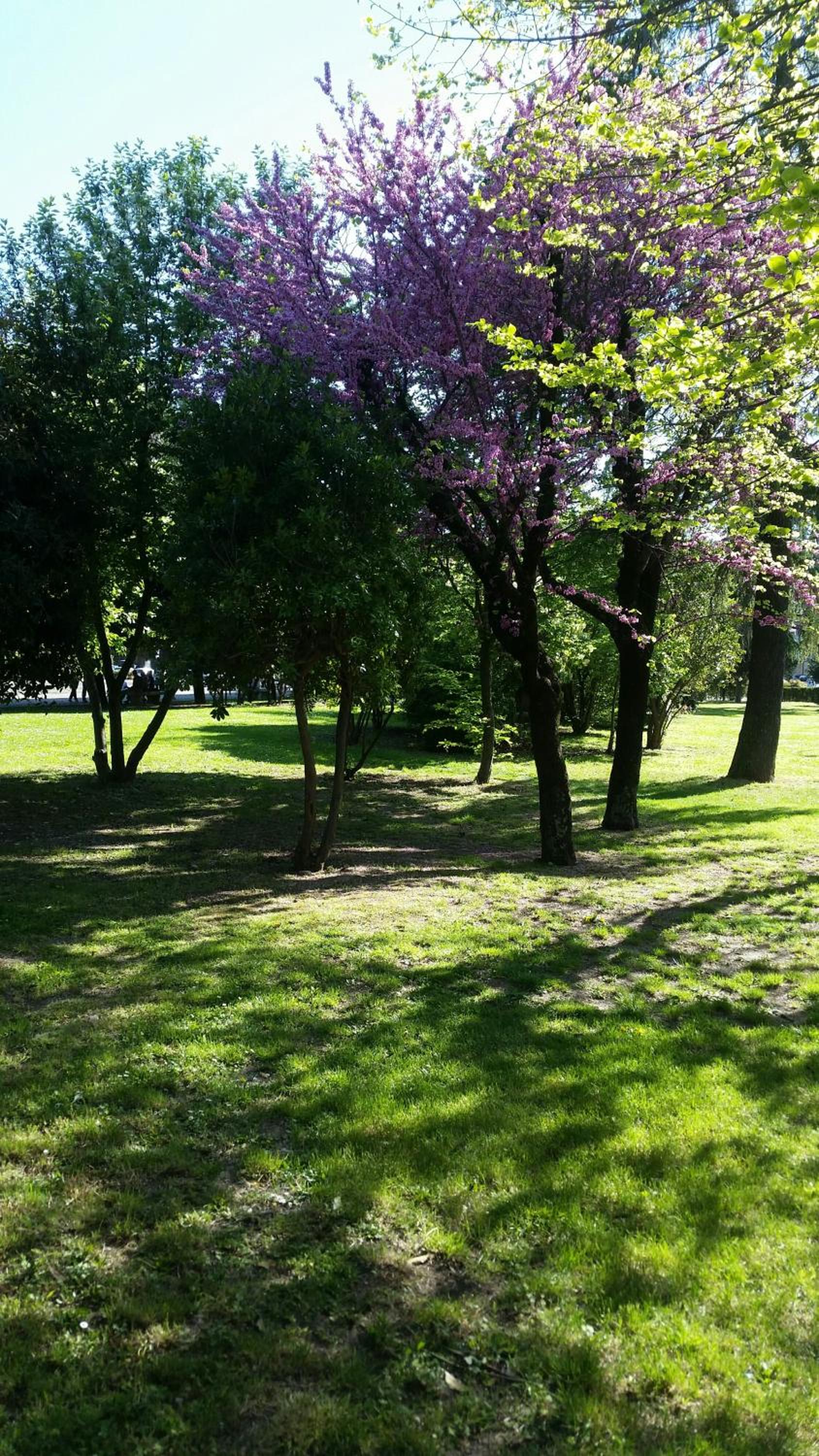 children's play area