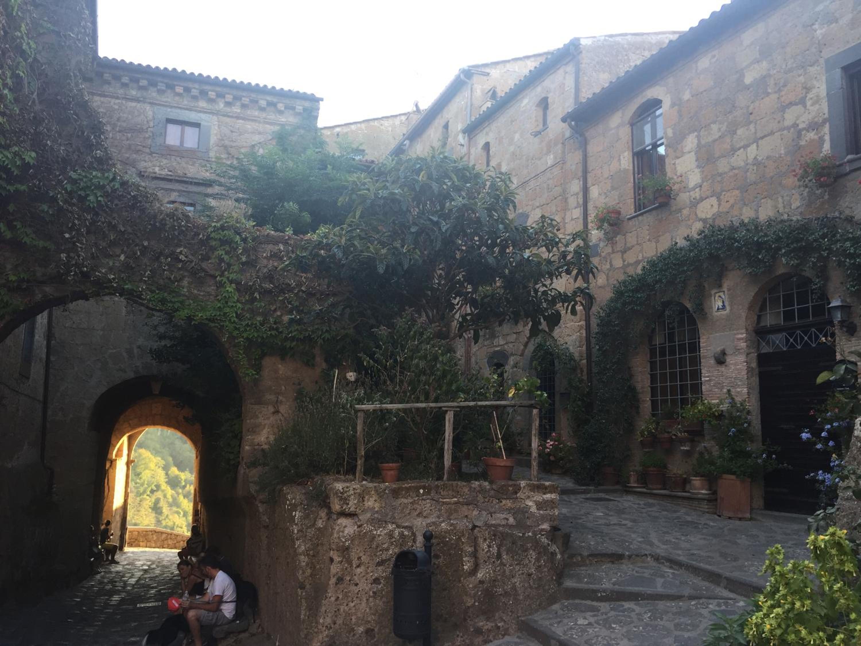 Photo 19