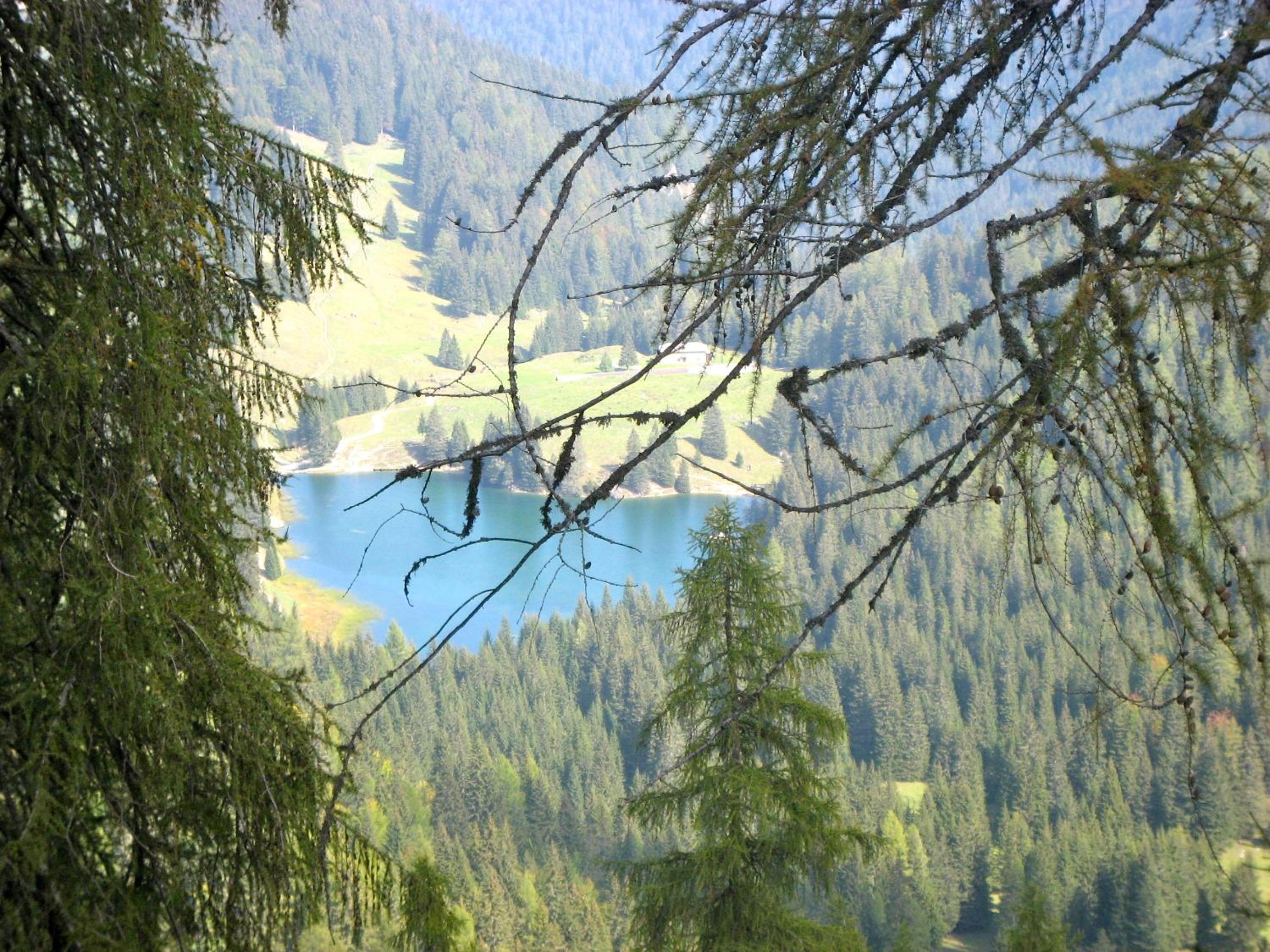 Photo 50