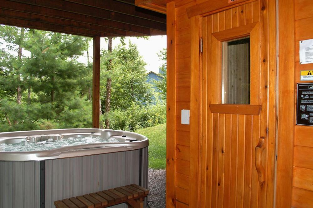 Chalets Alpins- 15 Chemin des Skieurs view 2