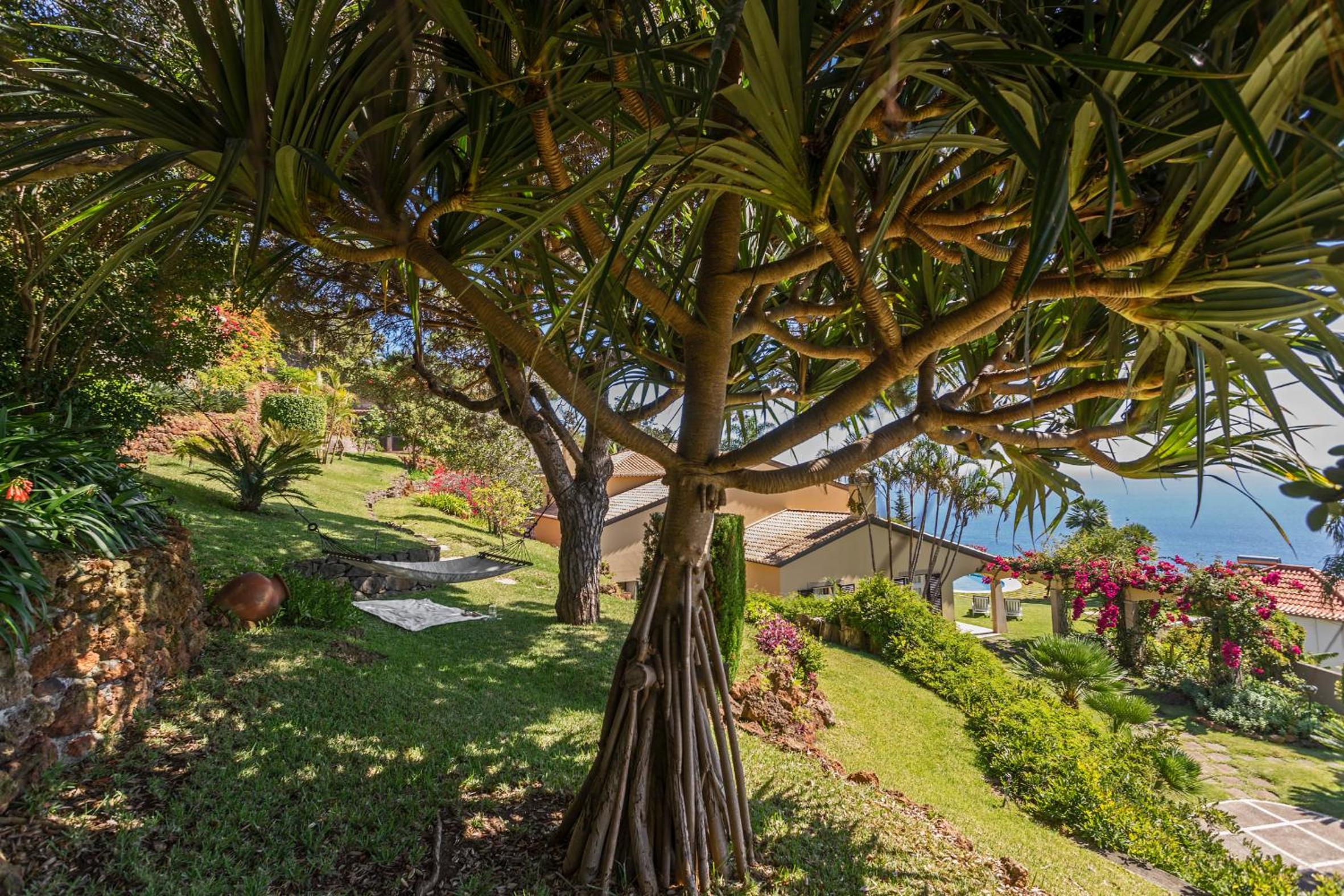Vila Eucalipto by An Island Apart