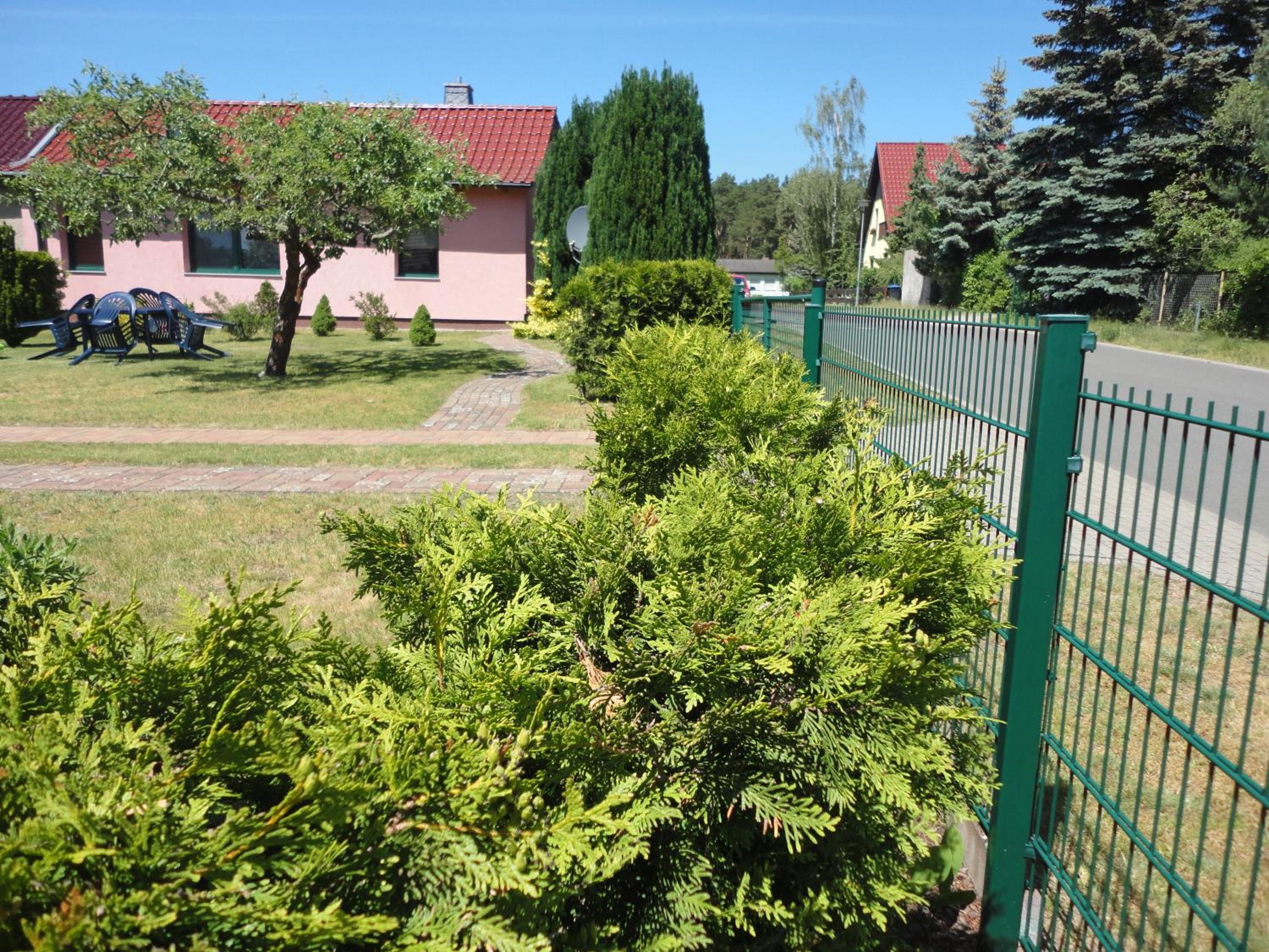 Photo 12
