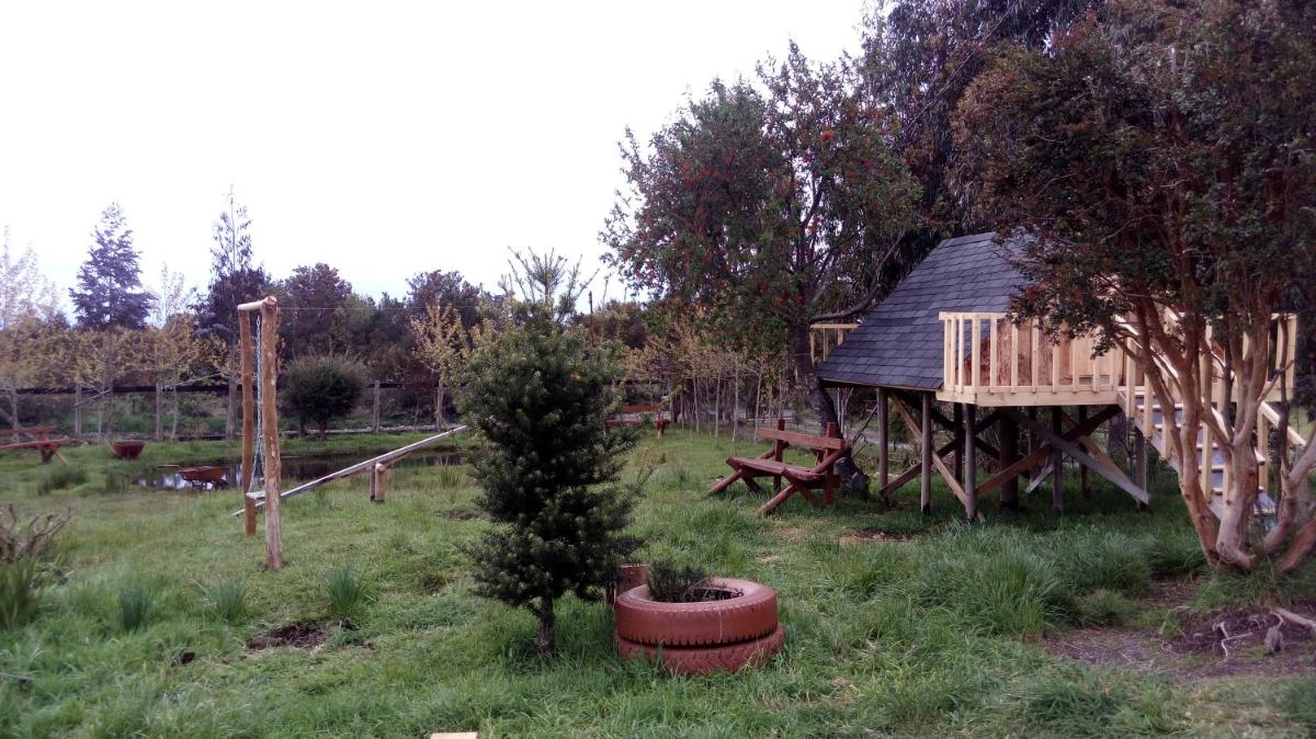 Photo 41