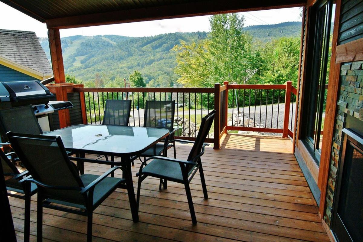 Chalets Alpins -13 Chemin des Skieurs view 4