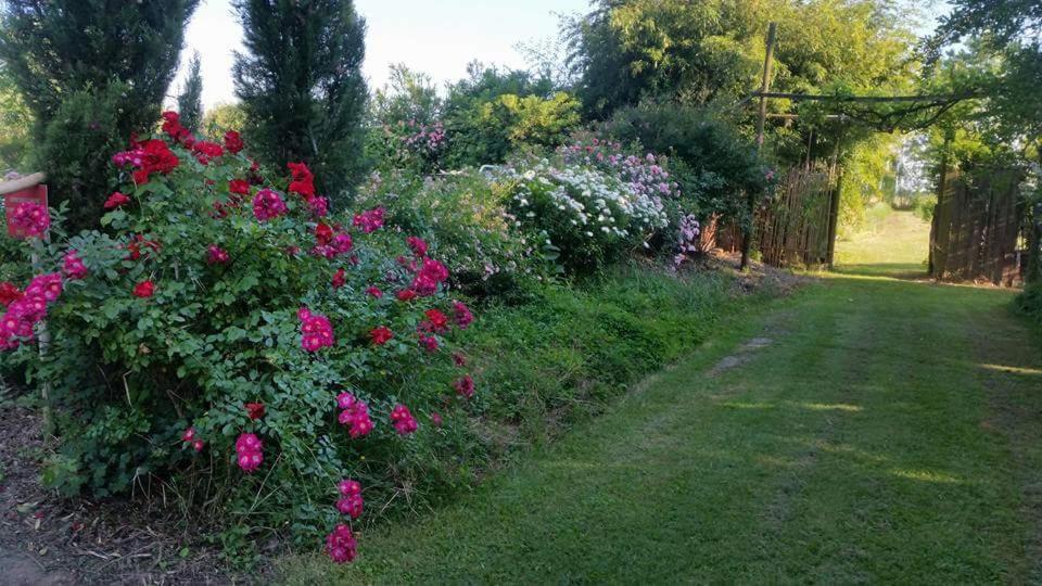 Bordeghina B&B In Farmhouse