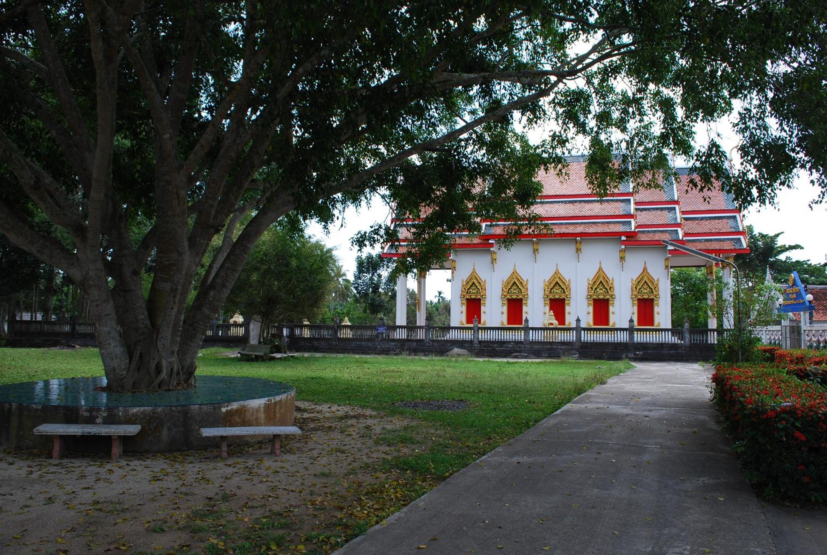 Salsa Hostel