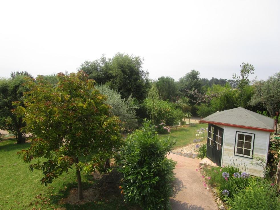 Photo 42