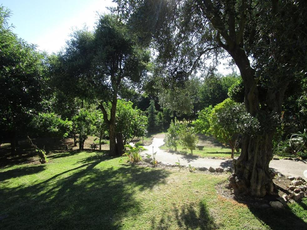 Photo 48