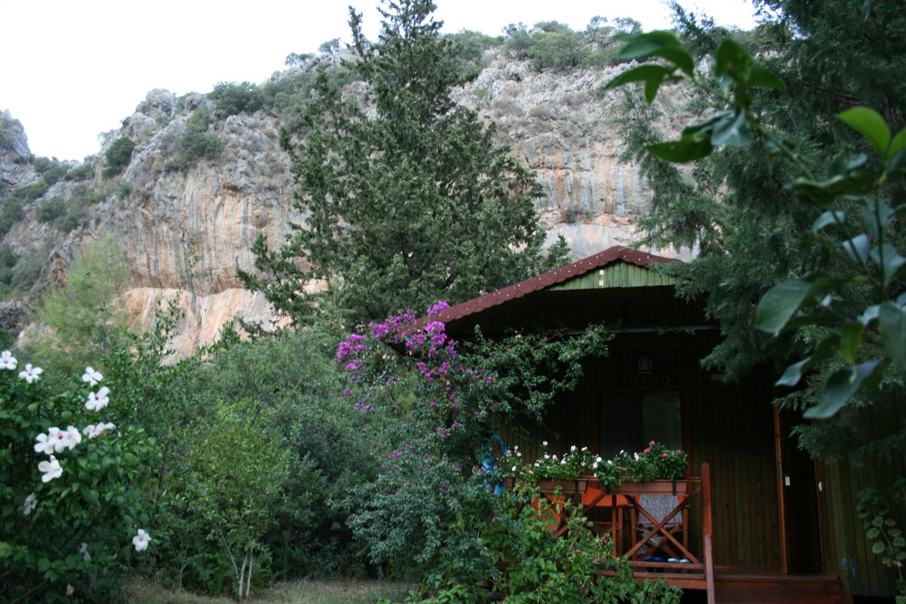 Photo 31
