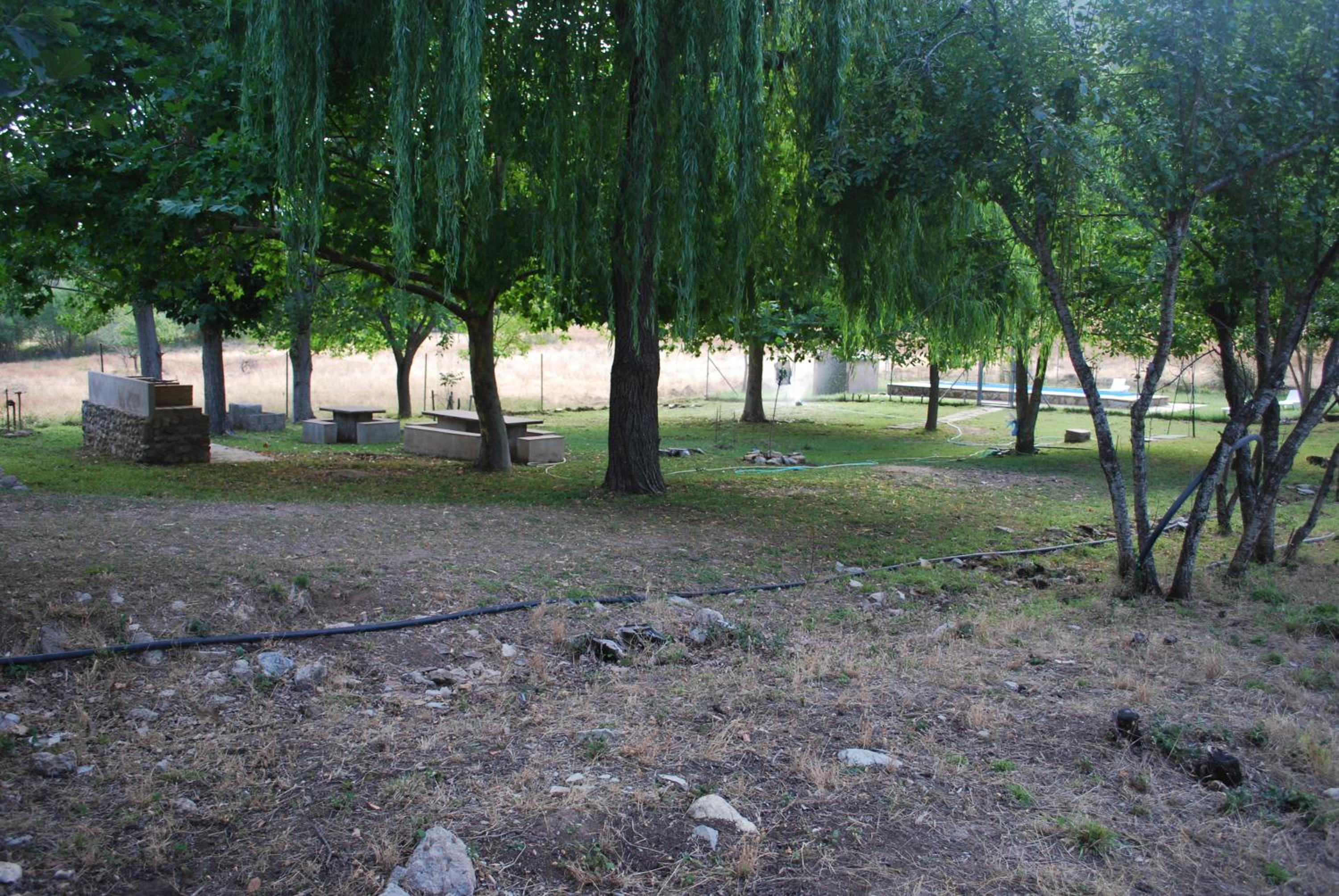 Photo 42