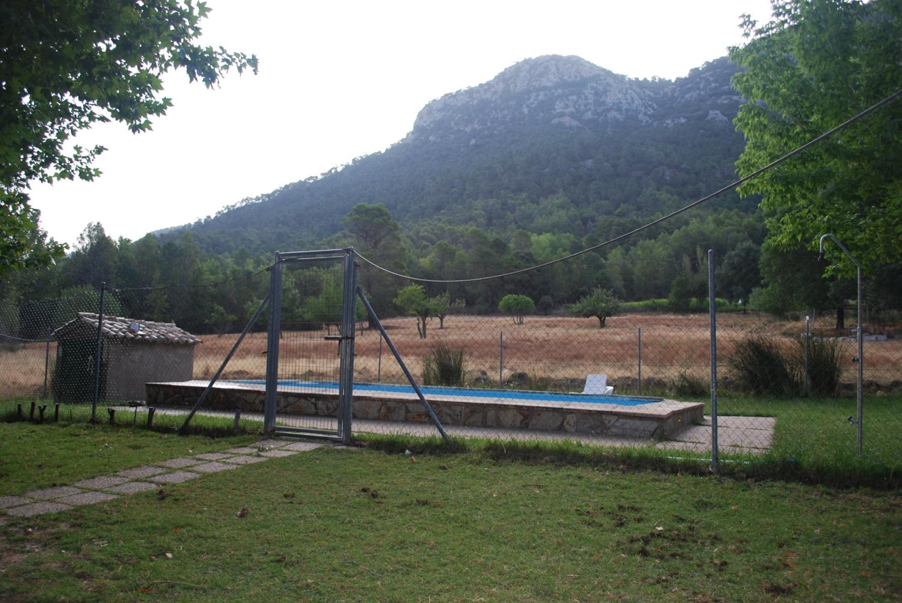 Photo 44