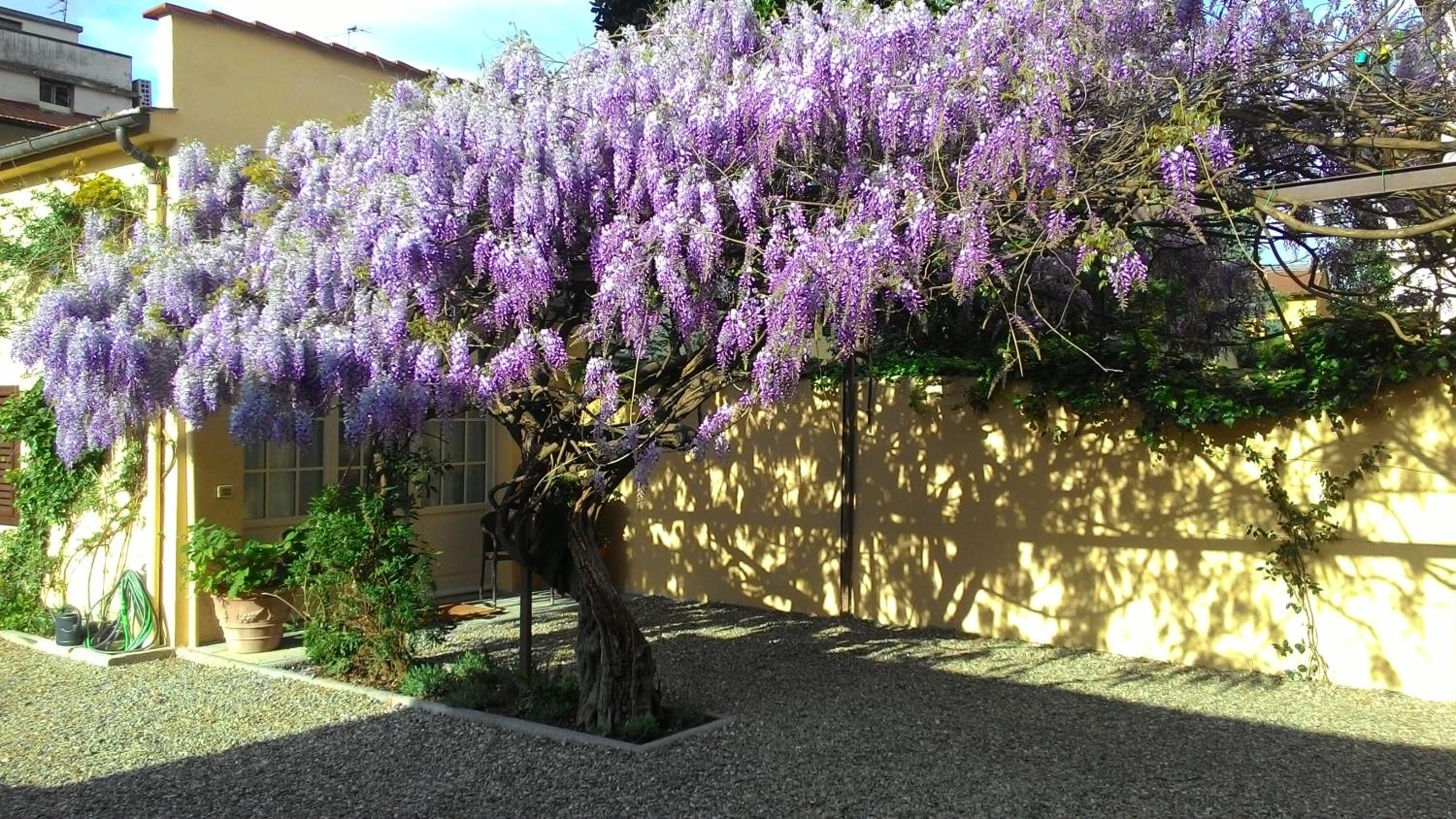 Villino Fiorentino