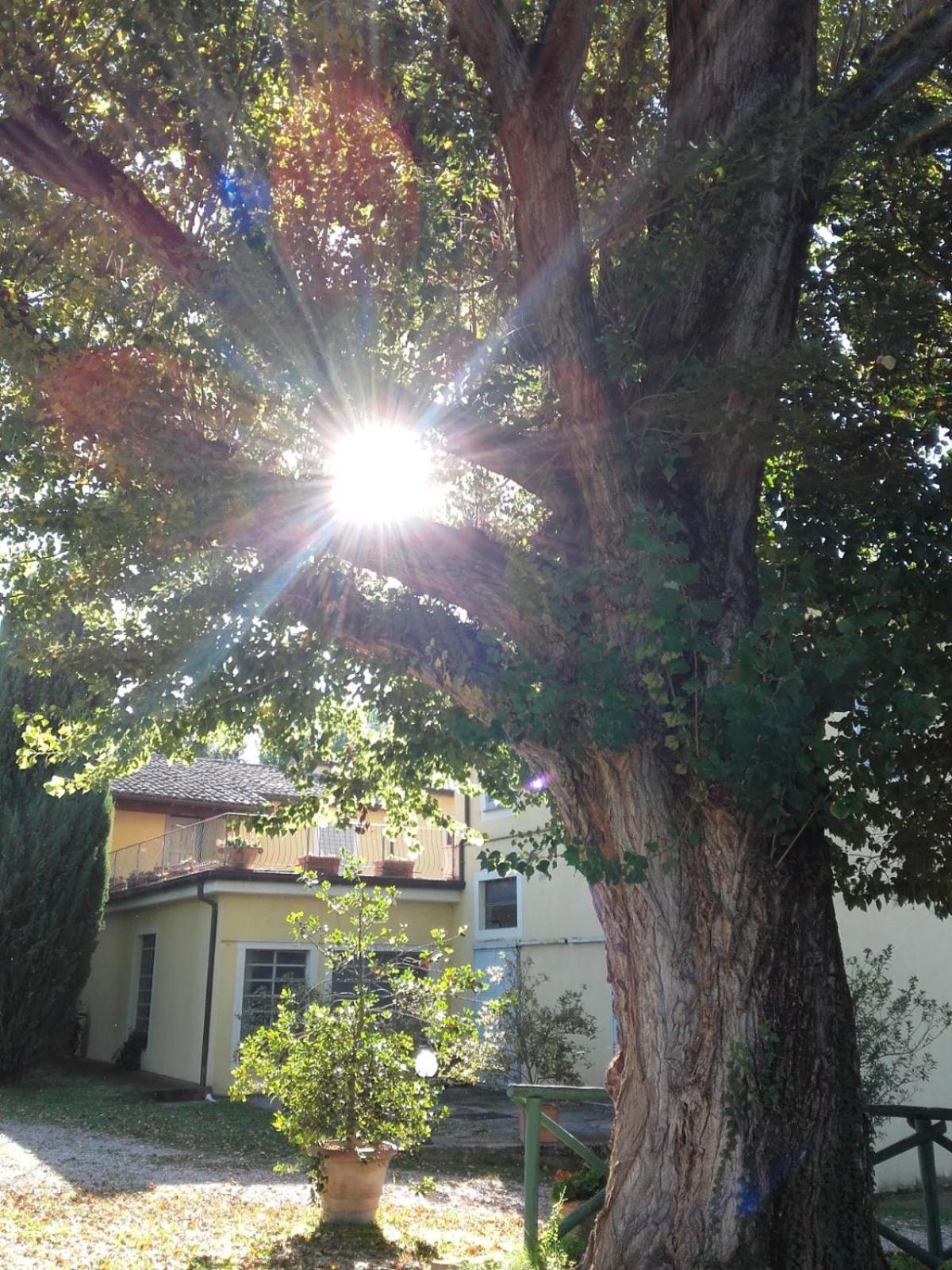 Agriturismo Il Mulino del Vescovo