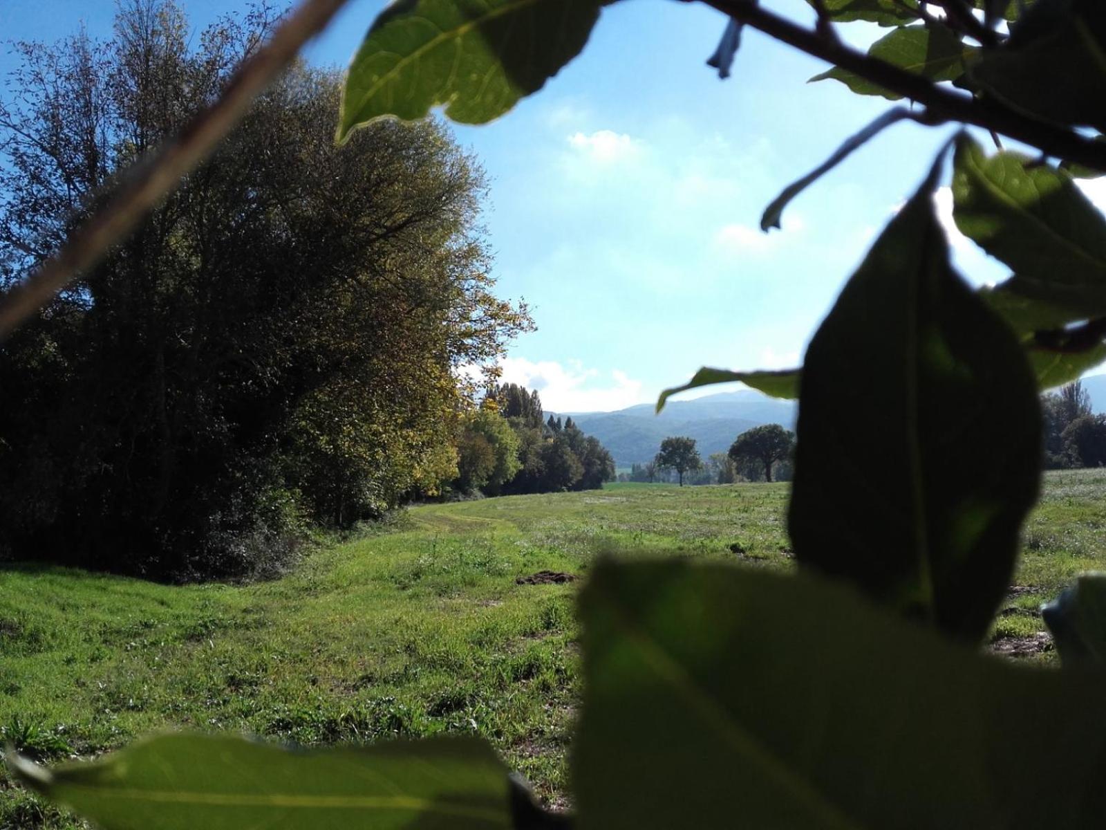 Agriturismo Il Mulino del Vescovo