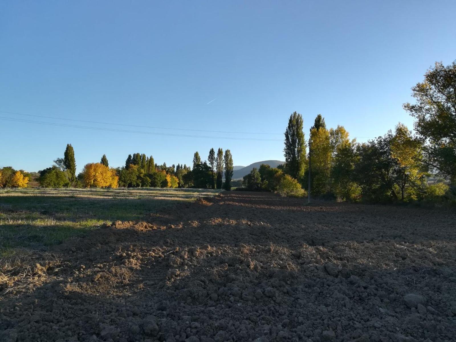 Agriturismo Il Mulino del Vescovo