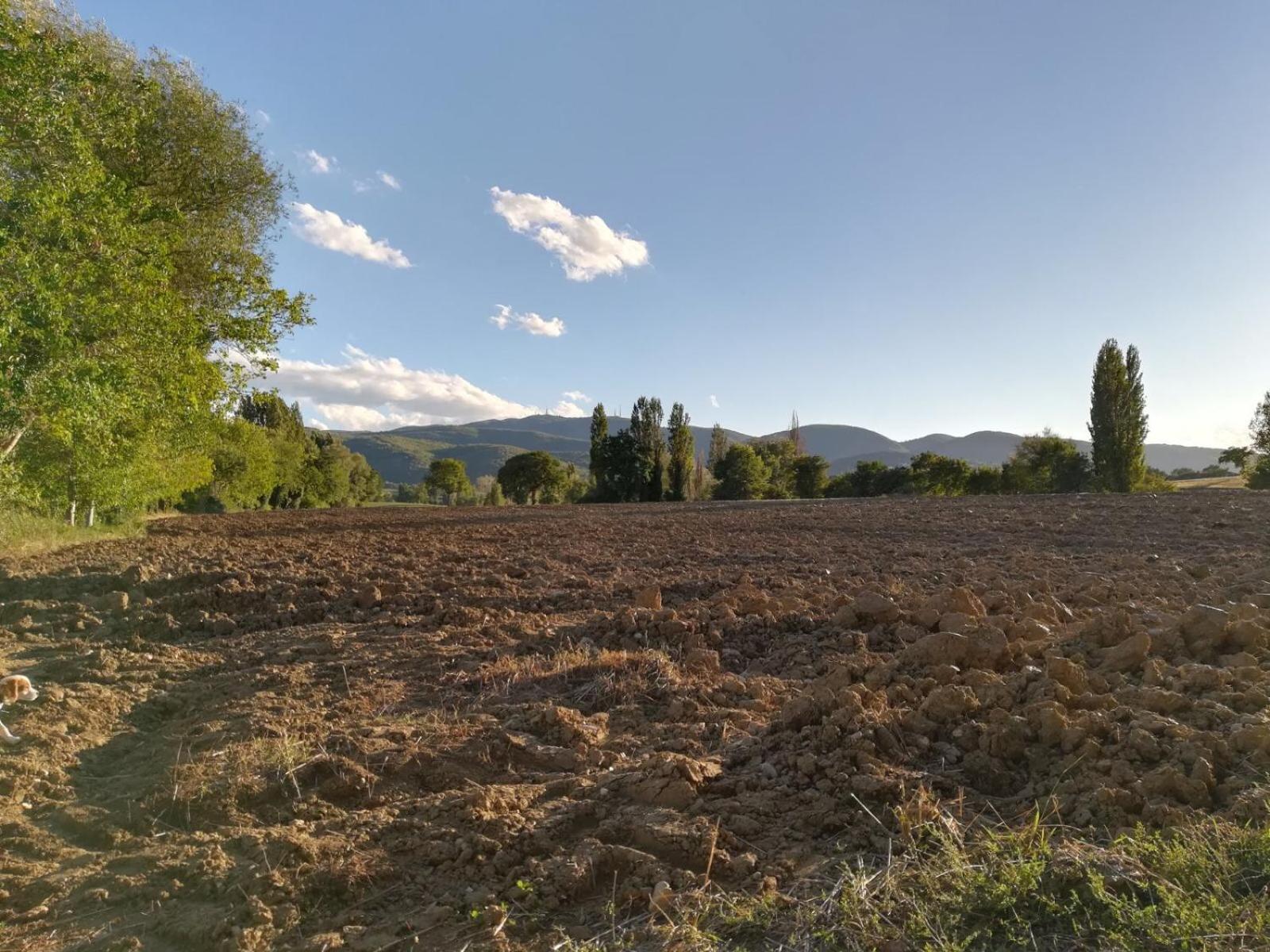 Agriturismo Il Mulino del Vescovo