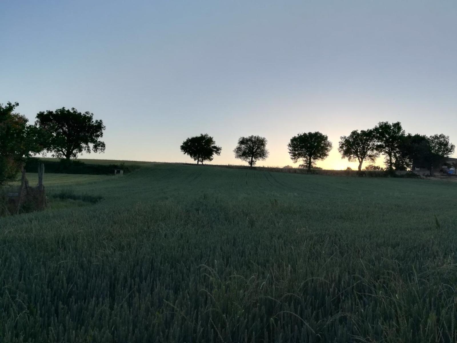 Agriturismo Il Mulino del Vescovo