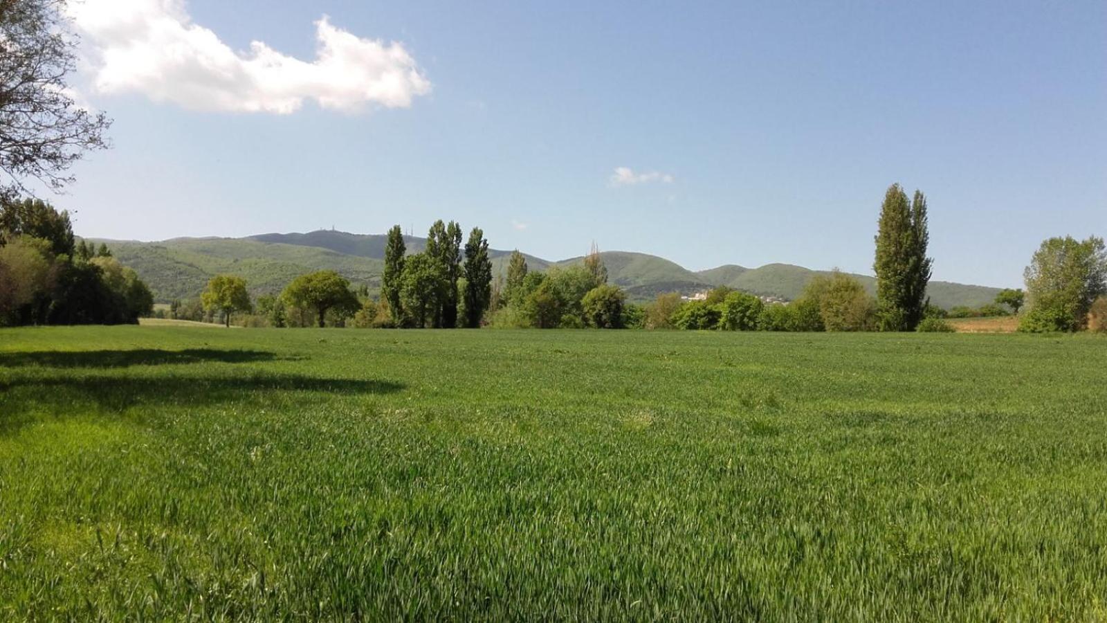 Agriturismo Il Mulino del Vescovo
