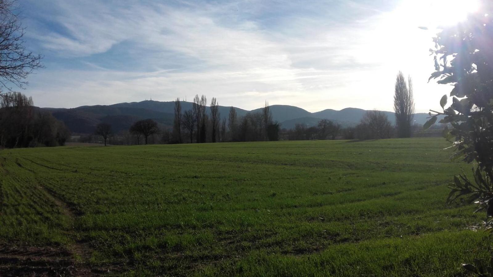 Agriturismo Il Mulino del Vescovo