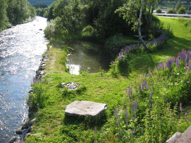 Photo 13