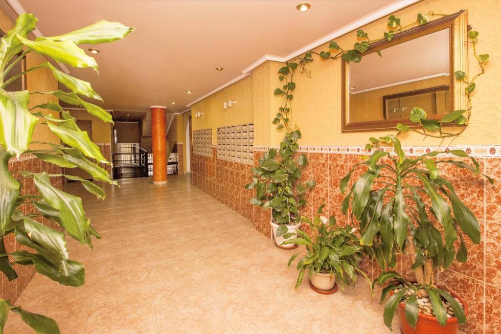 Apartamento Félix De La Fuente view 4