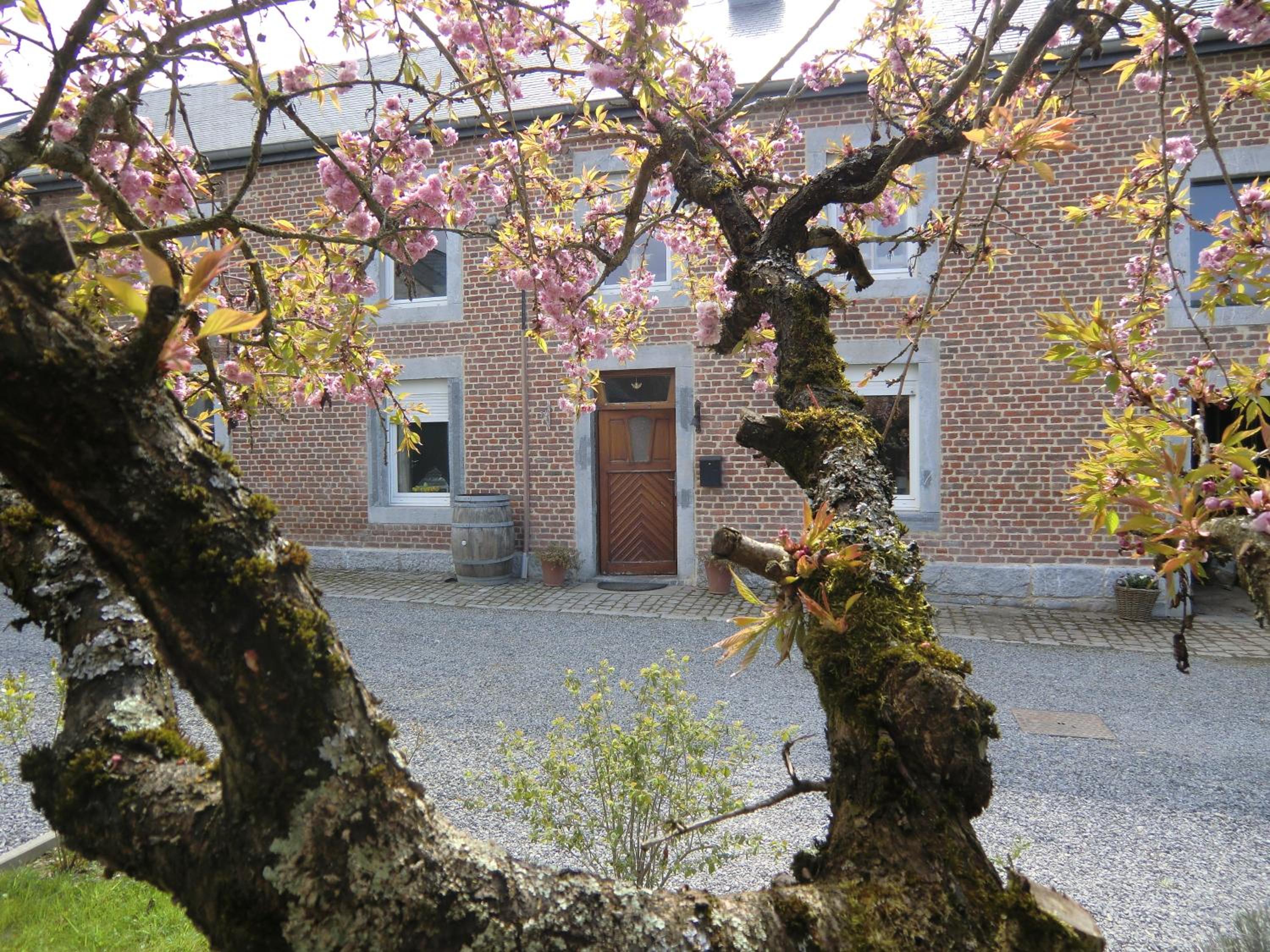 B&B Au Coeur de Villers