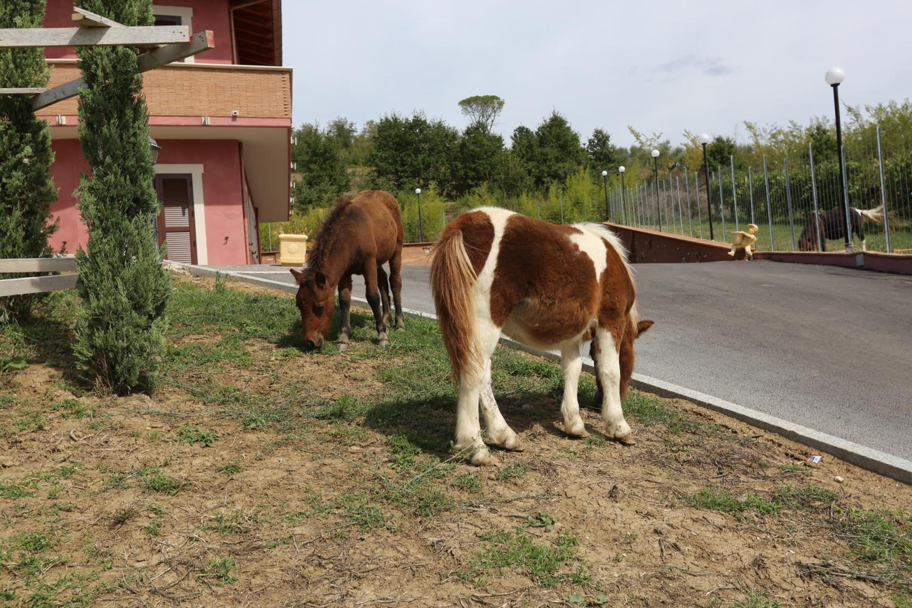 Agriturismo ciociaro 