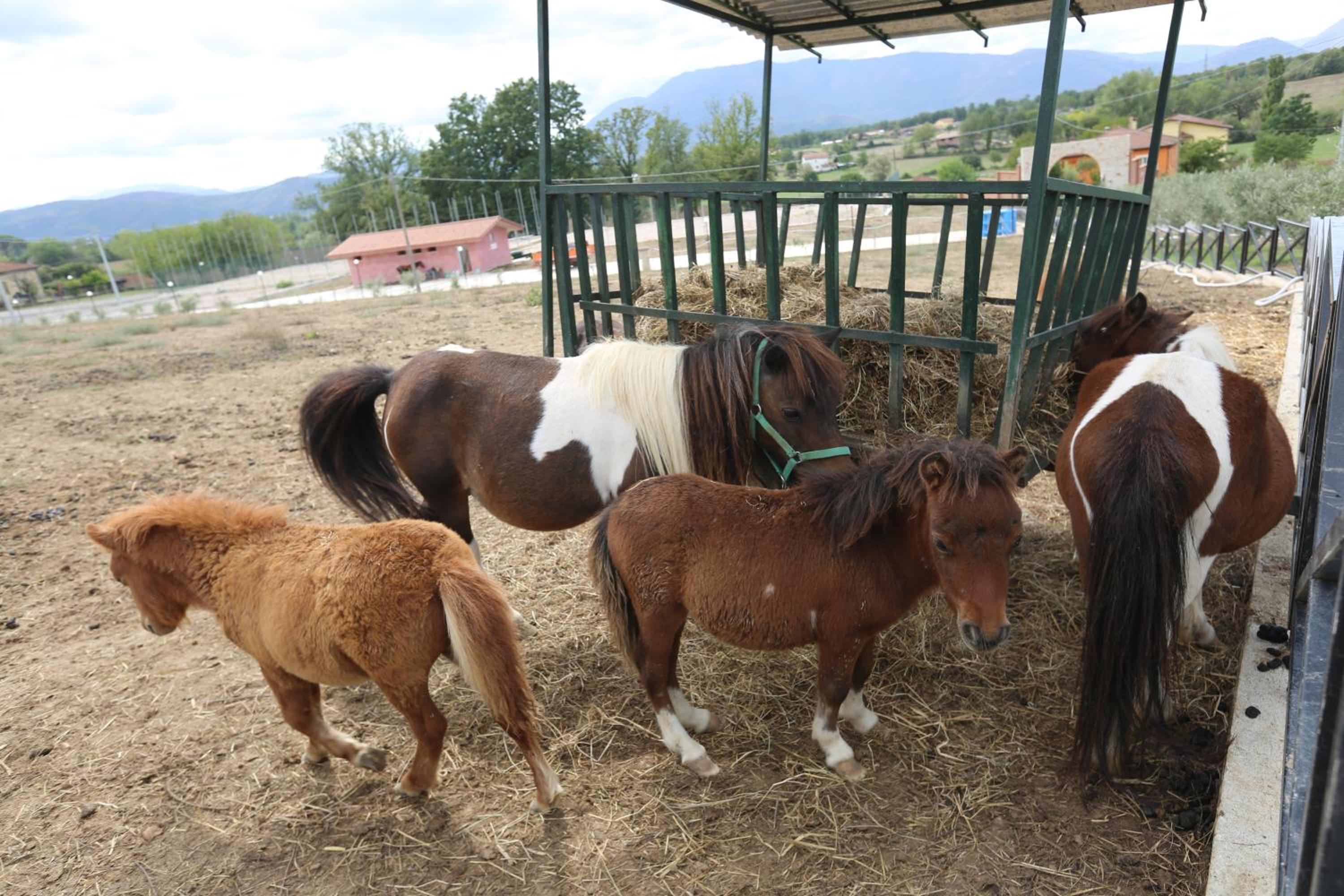 Agriturismo ciociaro 